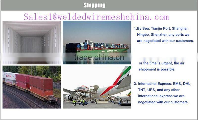 Anping mesh Xingpeng Galvanized, PVC Welded Wire Mesh(ISO9001 Factory)