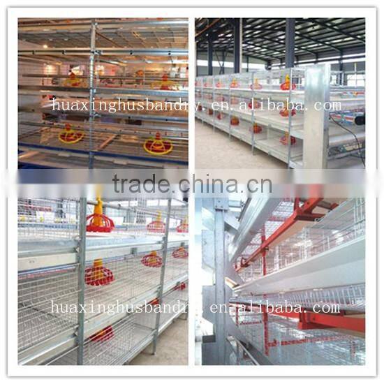 Huaxing automatic feeder for hens/broiler chicken feeding/broiler chicken coop