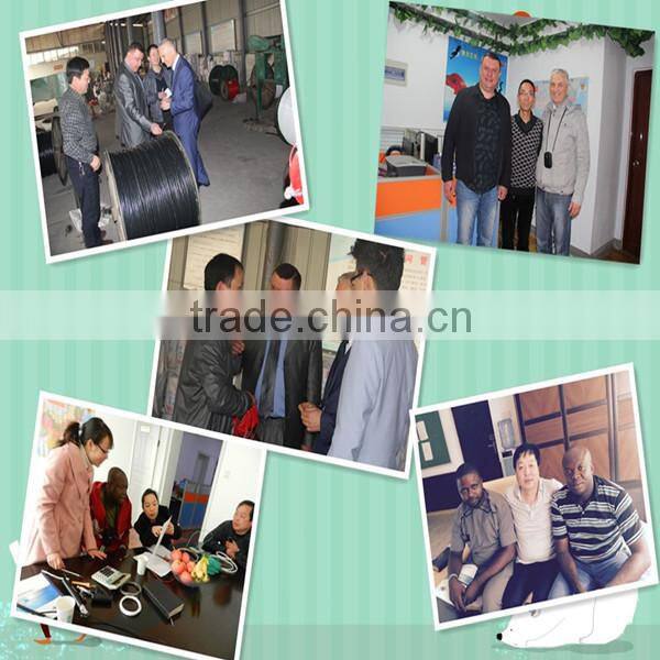 Aluminum conductor electrical wire BLV