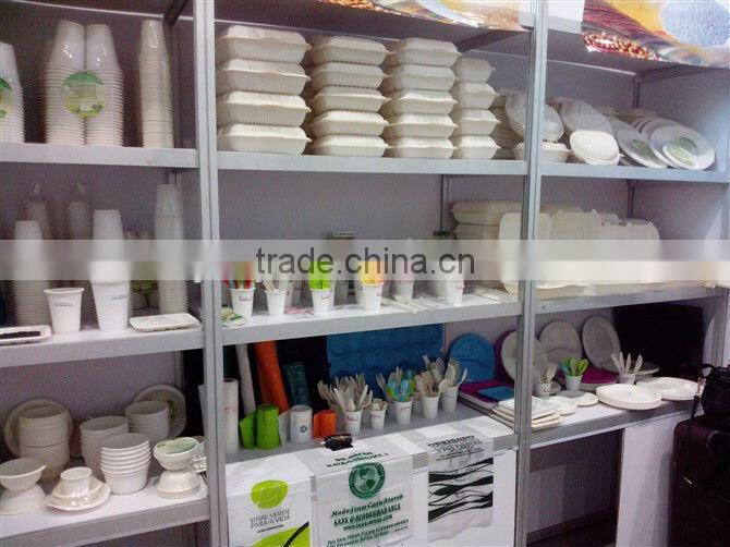 Biodegradable disposable 10inch plate with 3 compartments Bio tableware