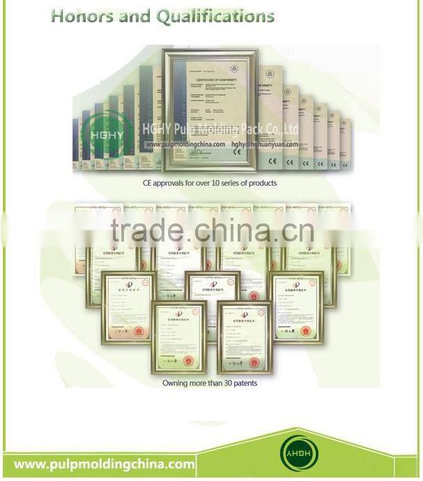 disposable baggase paper plate pulp molding machine by HGHY