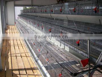 chicken broiler house design