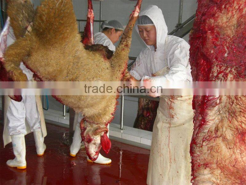 goat antilope agneau slaughter