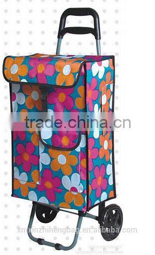 Pro-friendly collapsible folding grocery shopping carts