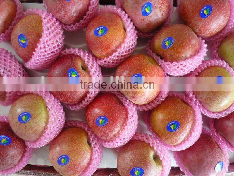 qinguan apple
