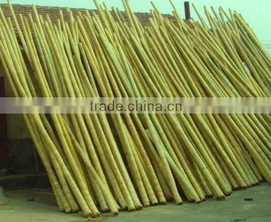 Homestar Cheap Bamboo Fence Designs / Natural cheap Roll bamboo fence For Sale