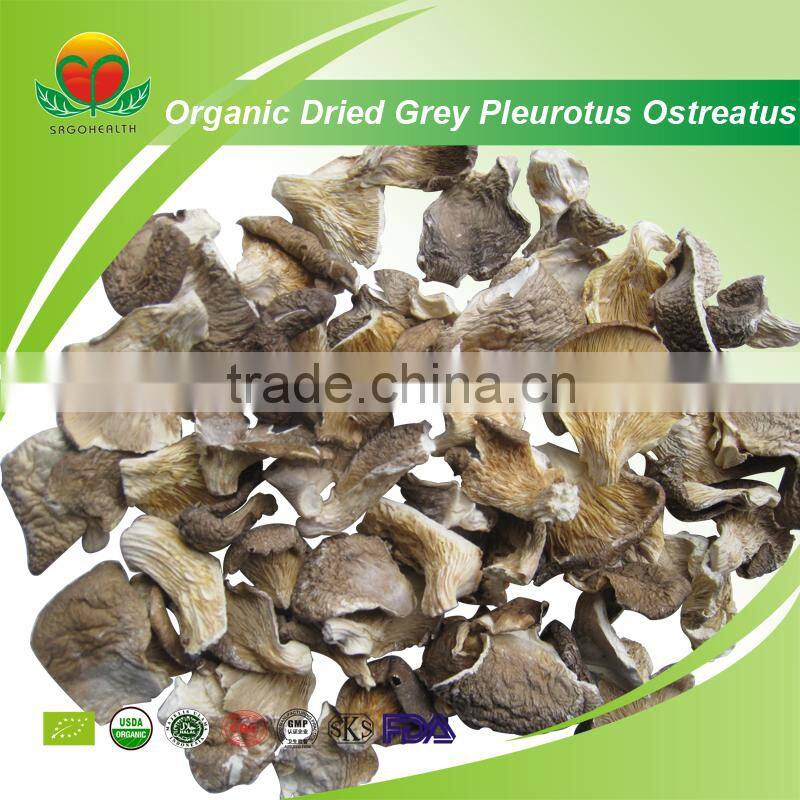 Most Popular Organic Gray Dried Pleurotus Ostreatus