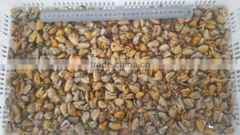 China seafood exporter frozen mussel boiled meat