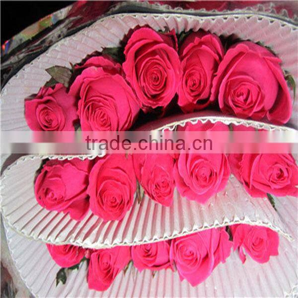 competitive price fresh black rose flower purchase from Kunming flower planting base