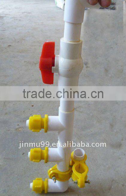 automatic chicken cage