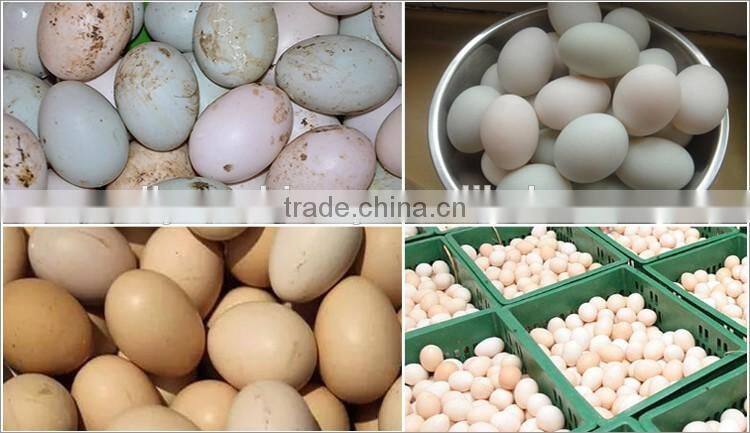 Factory supply egg washer machine for sale with low price