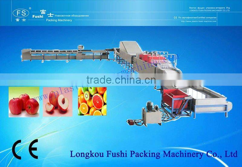 Fruit & Vegetable Cleaning Waxing and Grading Machine