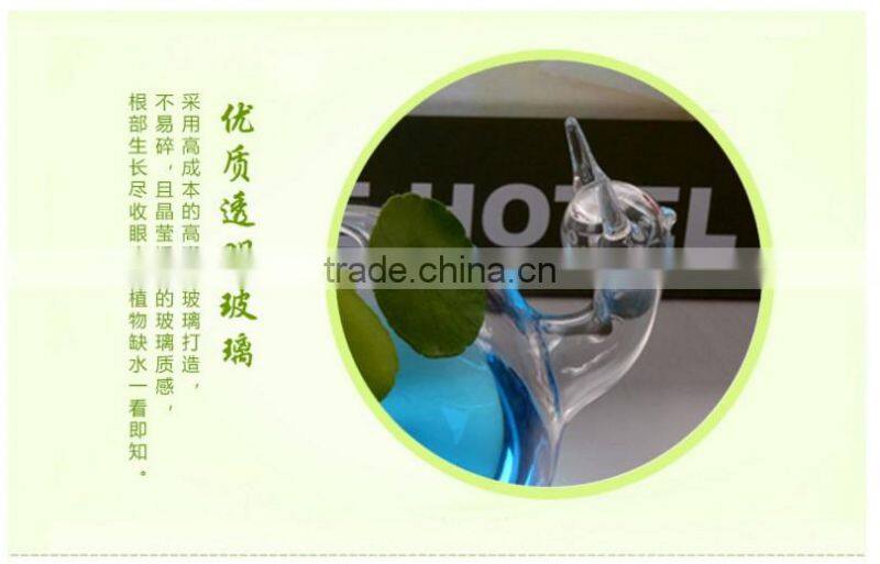 Indoor creative delicate home decoration hydroponics container snail shaped glass flower vase