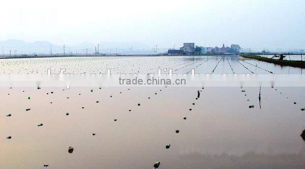 unique 6-12mm yellow 14K gold clasps for jewelry necklaces