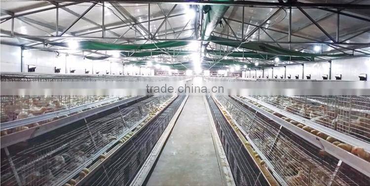Shandong Heracles trade assurance poultry farming equipment chicken layer cage for sale