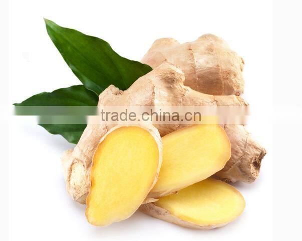 Natural health herbal tea instant granulated honey ginger tea