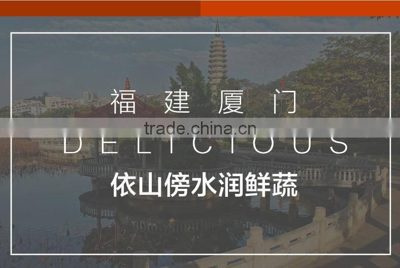 Agriculture Chinese fresh carrot