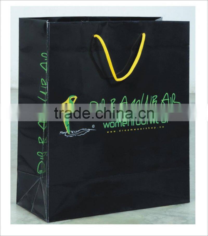 Brand Promotion Shopping Bags / Luxury Paper Bags