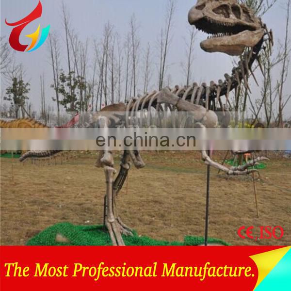 Competitive Price New Fiberglass Dinosaur Fossil Replica for Dino Park