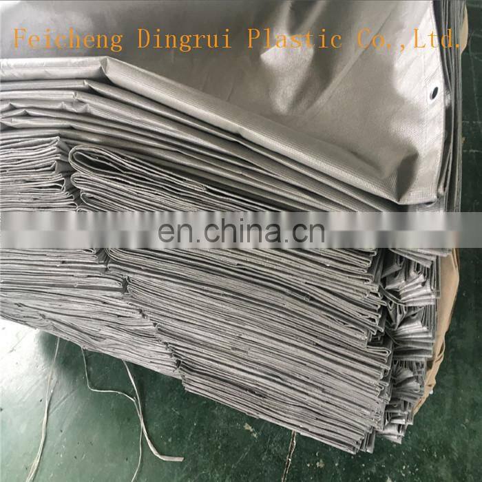 Singapore /Thailand/Japan Market Fireproof And Sunshade PVC Mesh Sheet For Construction