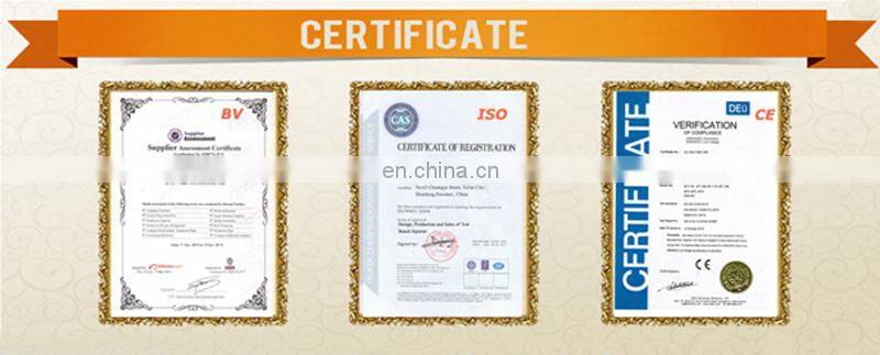 Ultrasonic cleaner china common rail repair tool fuel injector cleaner