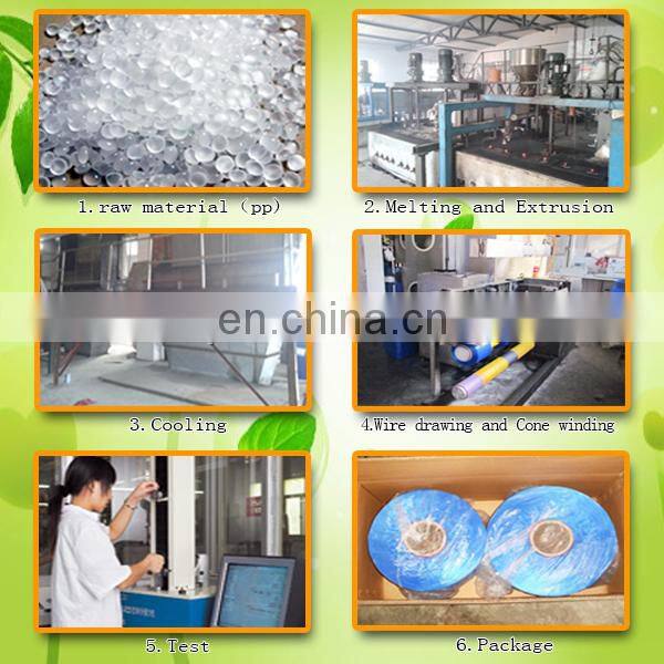 High Tenacity Intermingled Dope Dyed Pp Multifilament Yarn