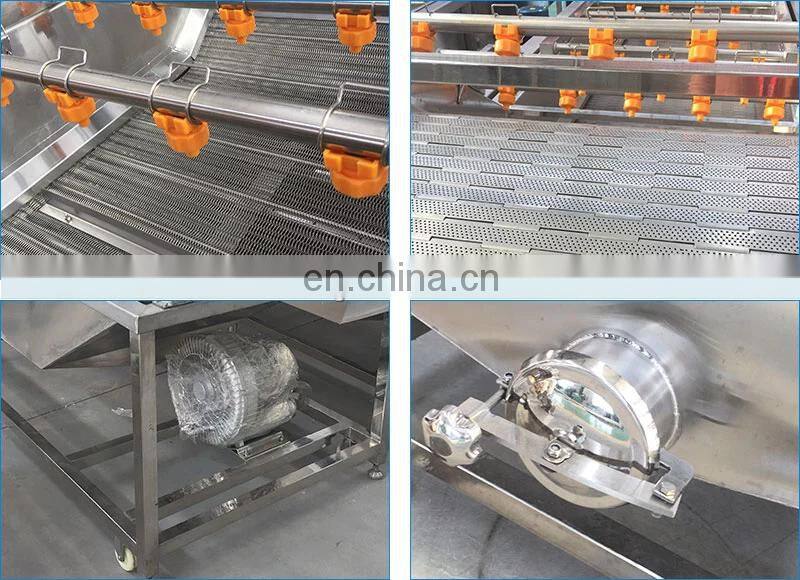 Commercial Automatic Fruit Strawberry Cleaner Blueberry Cleaning Mango Date Bubble Washer Tomato Vegetable Washing Machine Price