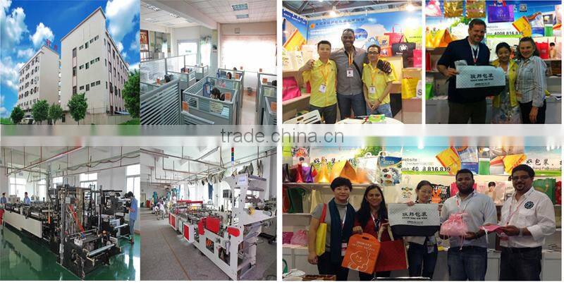 White Printed Plastic Bag Cheap 3 Mil Thickness Shopping Plastic Bag 12''x 16'' Custom Plastic Shopping Bag