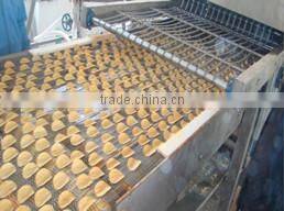 High technology complete full automatic potato chips production line