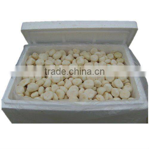 Canned water chestnut whole