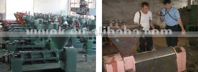 Olive oil cold press machine price