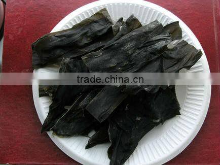 Natural GMP Seaweed Extract Kelp Extract Flakes with Natural Growth Hormones
