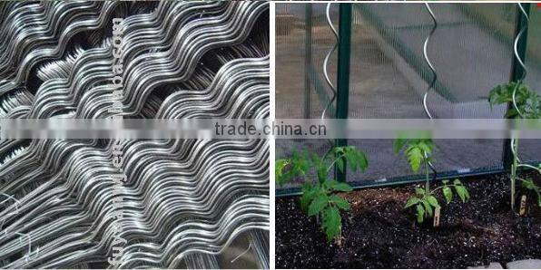 low price Galvanized or powder coated tomato spiral plant support factory in China