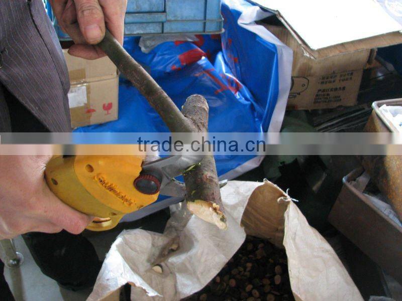 max power pruning shears