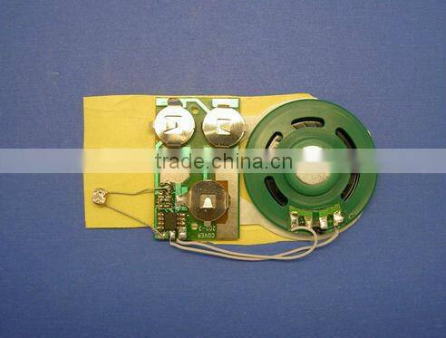 Greeting card programmable sound module