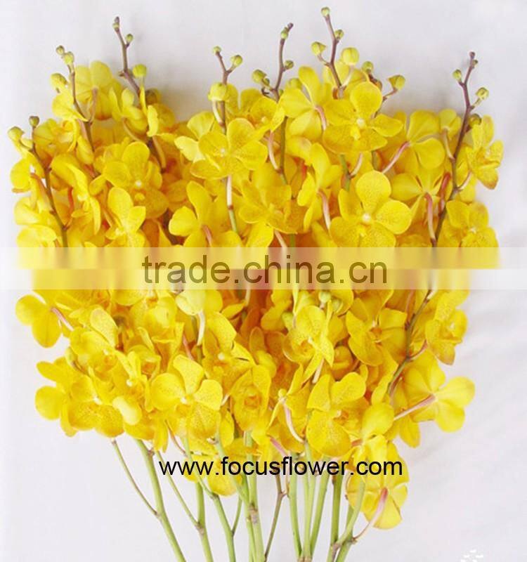 Thanksgiving Day Natural Black Orchid Flowers For Sale For Wedding