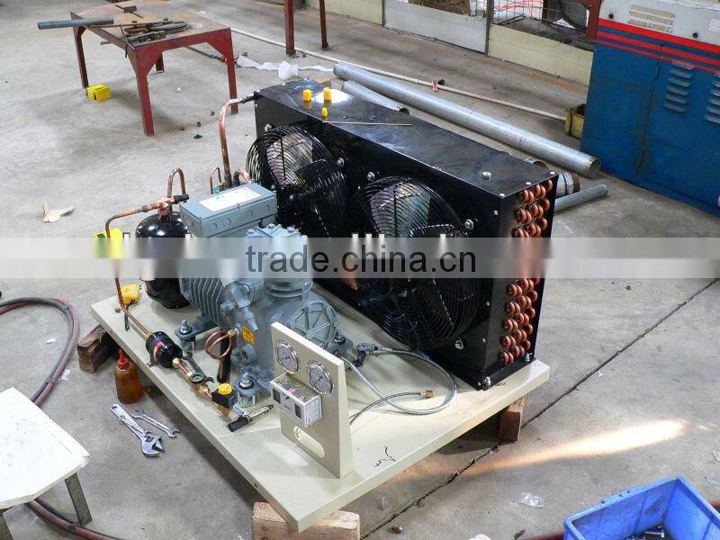 Freezer room for meat and fish -25C