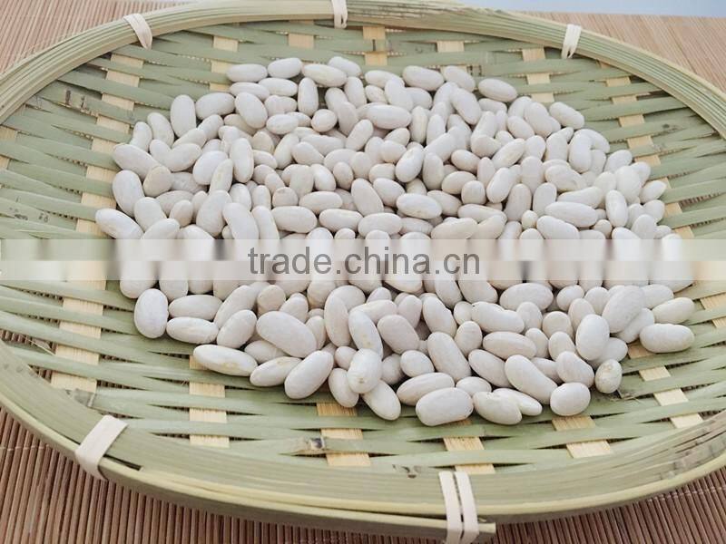 China Spanish White Kidney Beans