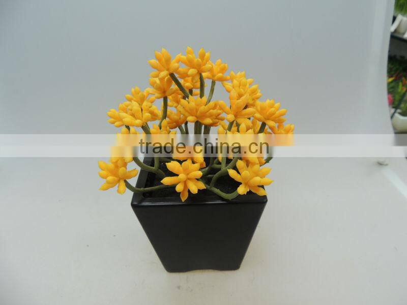 square ceramic pot plant for decorating