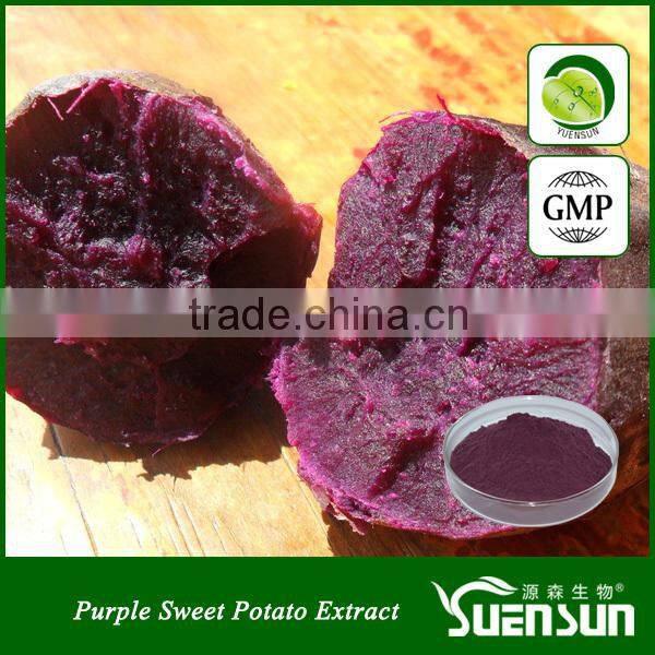 Top quality purple sweet potato extract