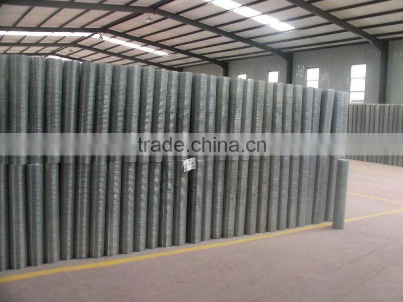 Galvanized WELDED wire mesh from Factory