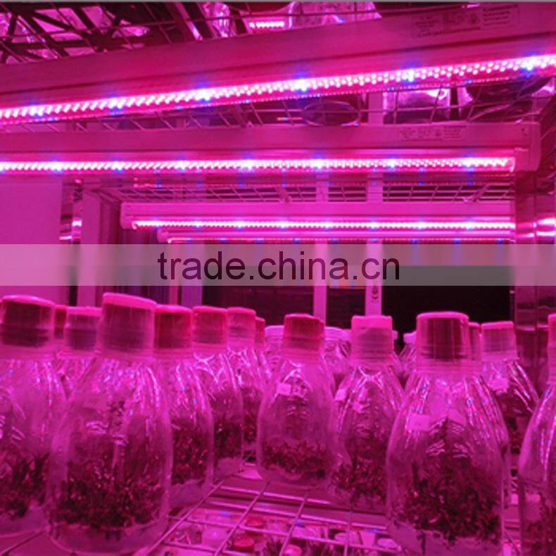 Full spectrum led grow tube 1200mm led grow lights for lettuce