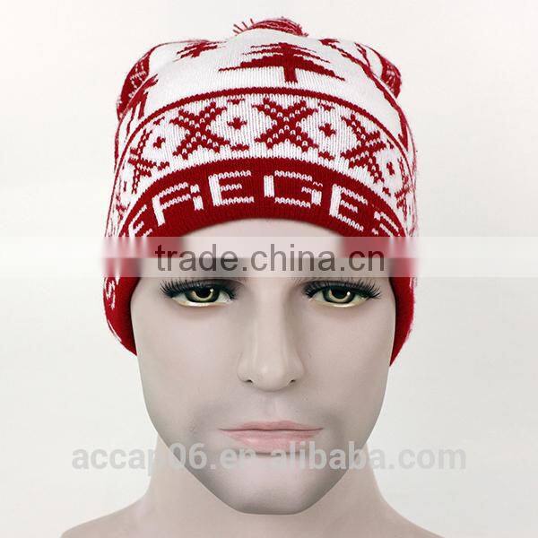 winter hat custom beanie hat