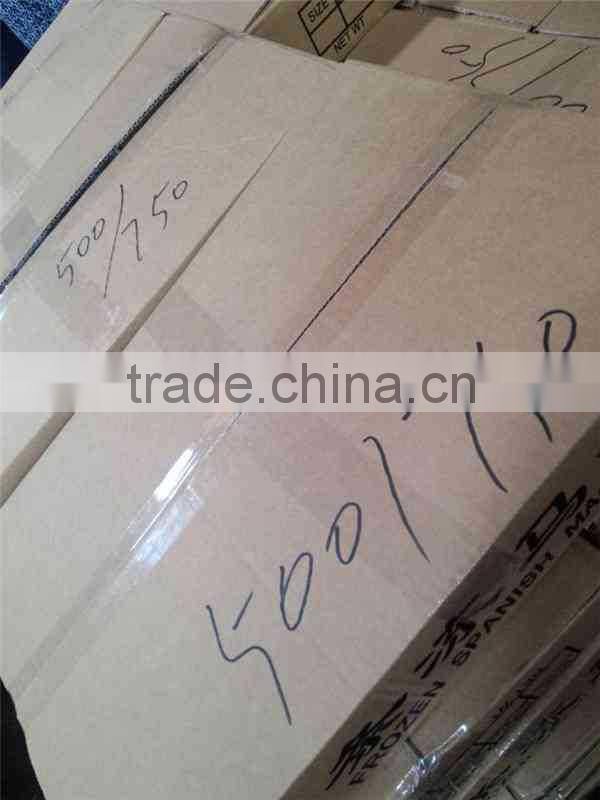 IQF Spanish Mackerel whole round of size 500-700g