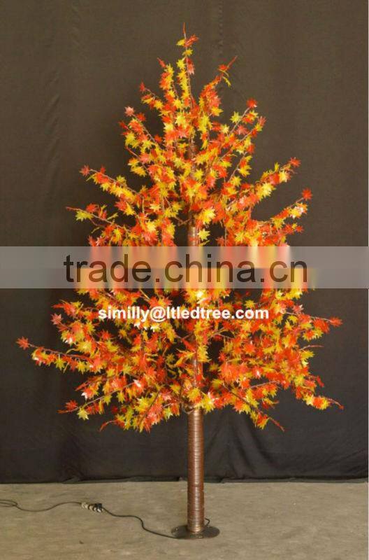 Led Maple tree yellow leaf