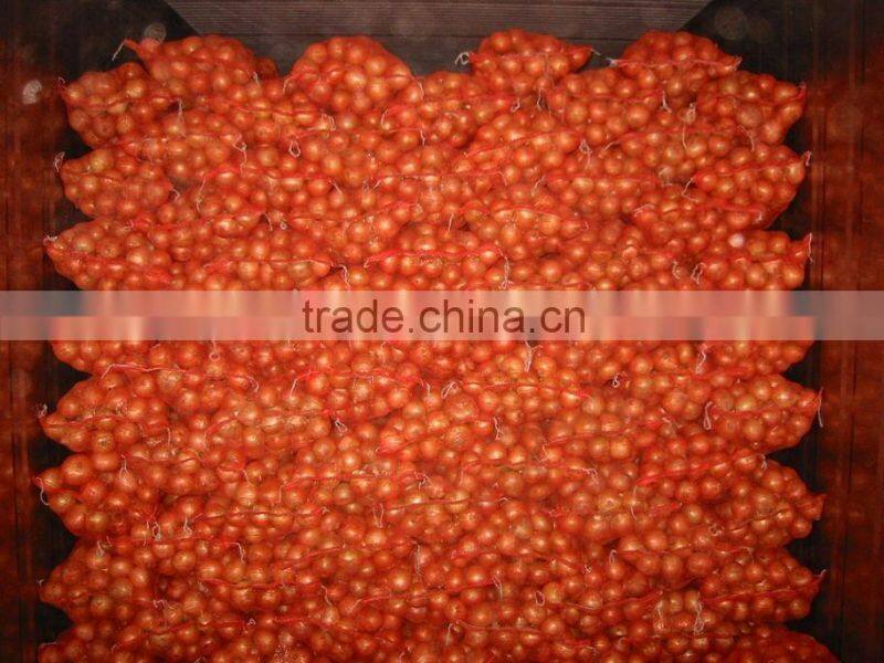 Yellow Onion Red Onion Specification Fresh