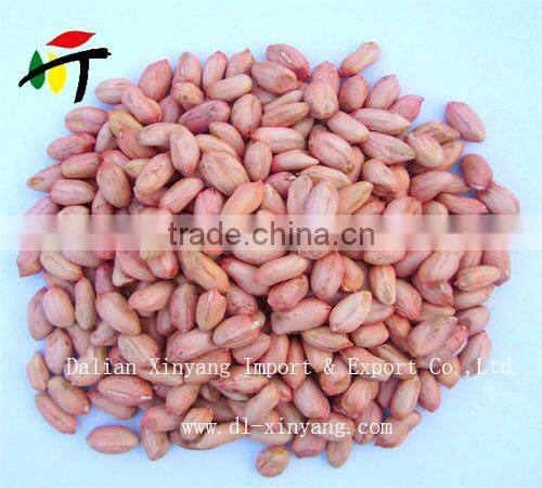 Wholeslae groundnut salted chinese roasted red skin peanuts