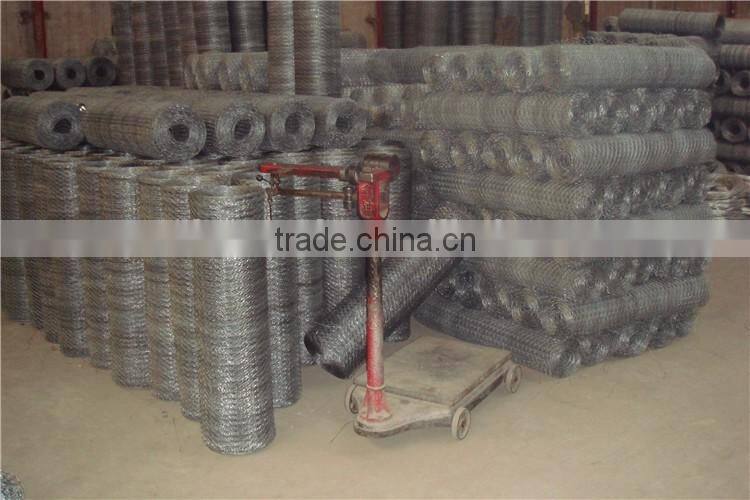 (30 years factory)Hexagonal chicken wire mesh
