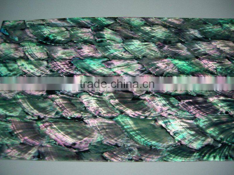 donkey ear abalone shell sheets