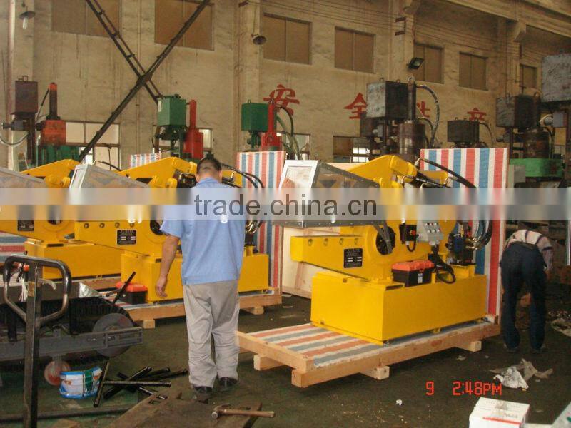 Large Metal Shear